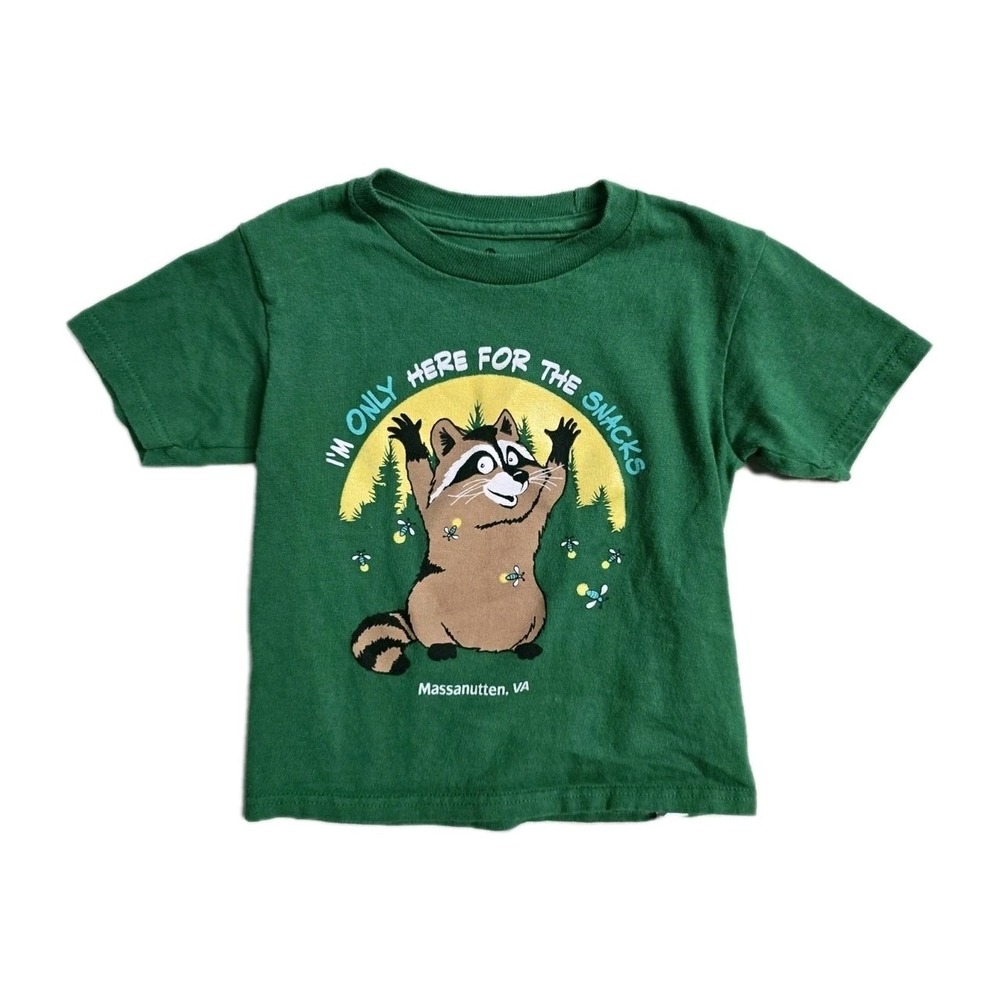 Artisan Raccoon Tshirt  3 T Green Here For Snacks Boys